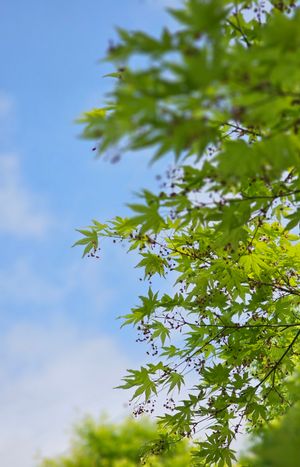 바람을 찍다